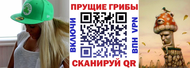 Псилоцибиновые грибы Psilocybe Котово